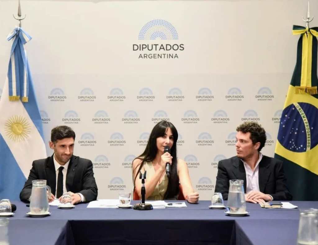 Brítez cuestionó fuerte a Herrera Ahuad: “Hay más coraje en la calle que en la dirigencia&nbsp;política”